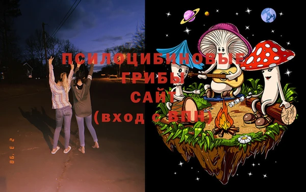 прущие крисы Богданович