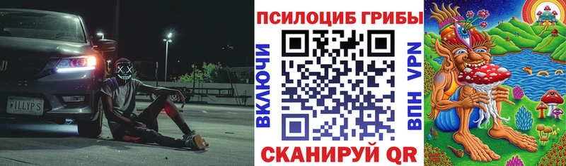 Псилоцибиновые грибы Magic Shrooms  Северск 