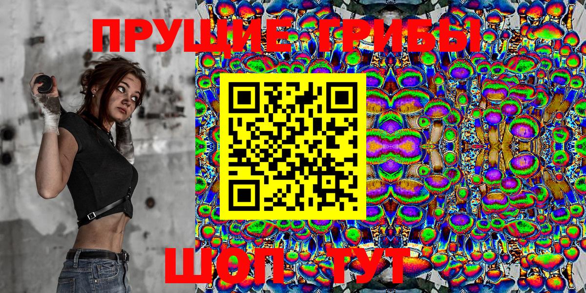 Северск  Галлюциногенные грибы MAGIC MUSHROOMS  купить  цена  Вход с VPN 